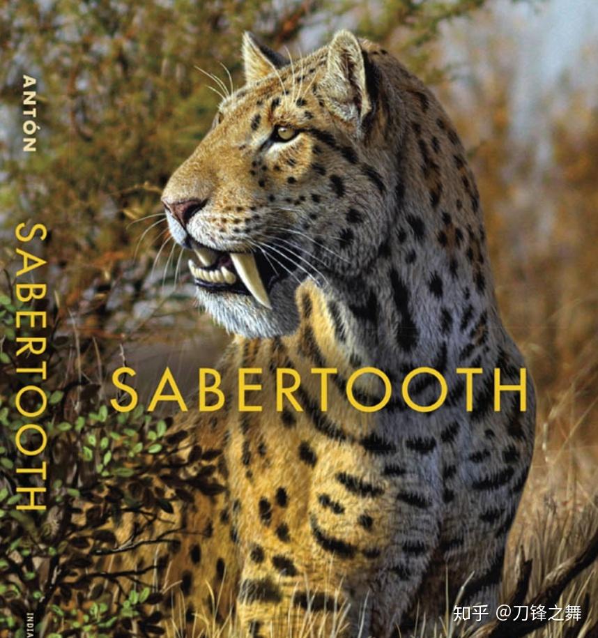 剑齿虎打得过狮子老虎吗?