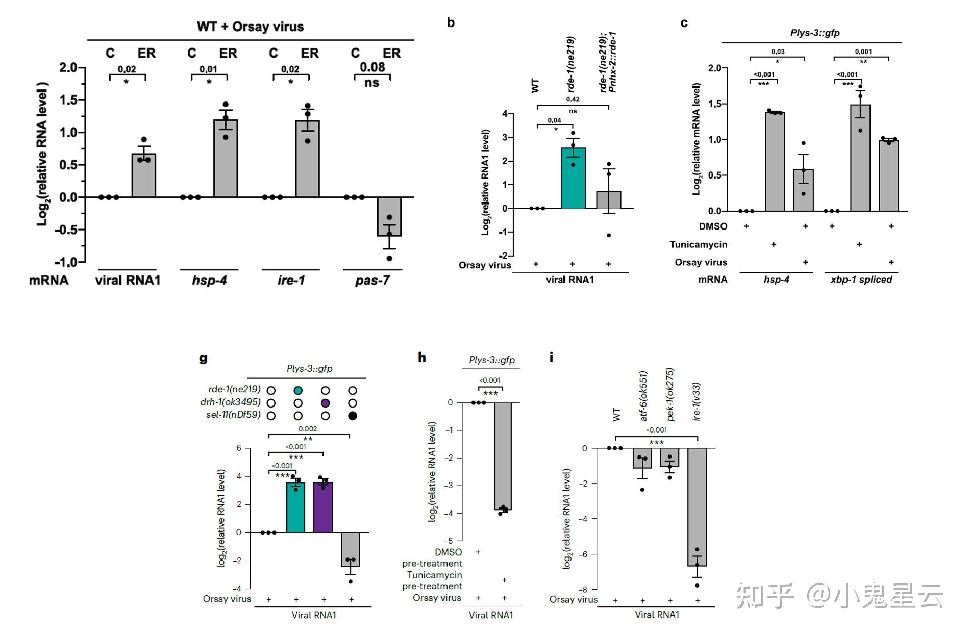 Nat Cell Biol 内质网相关rna沉默 Eras 的发现 知乎