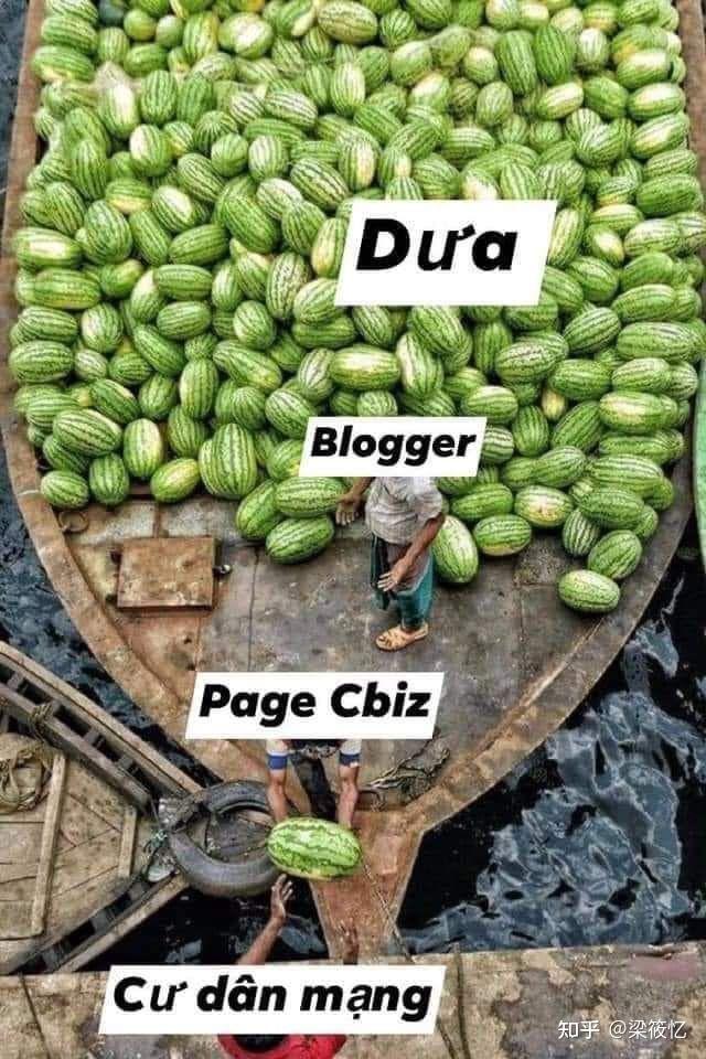 越南网友在线吃瓜瓜表情包