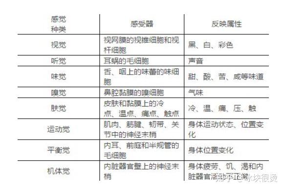 心理学基础知识之感觉 - 知乎