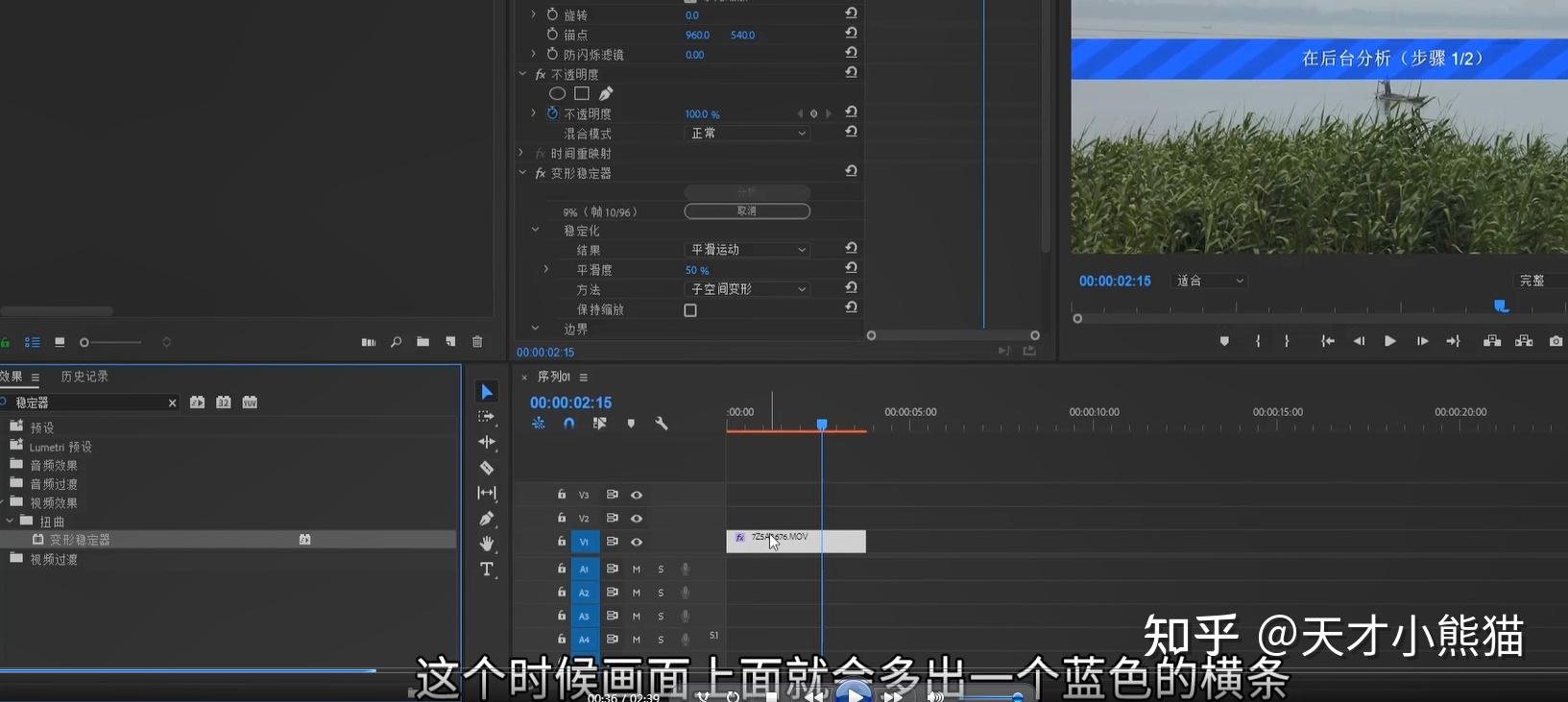 十八:变形稳定器