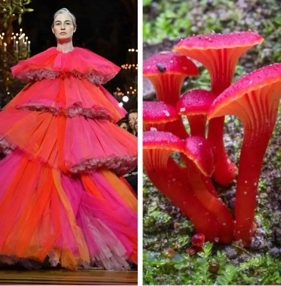 把蘑菇穿在身上,设计师以大自然为灵感,创作的时装太特别了