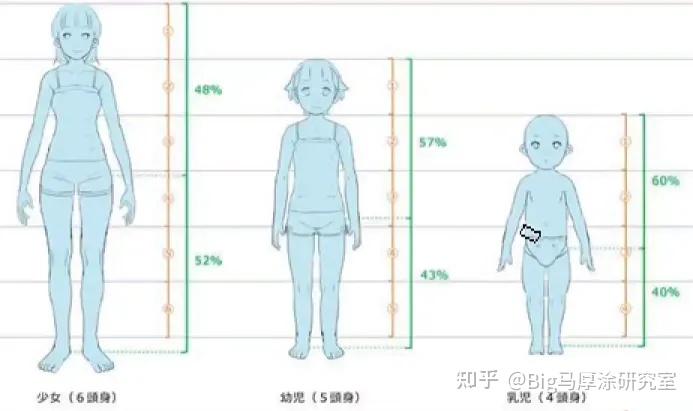 5头身比;成年女性6.5-7头身比 ;成年男性7.5-8个头身比.