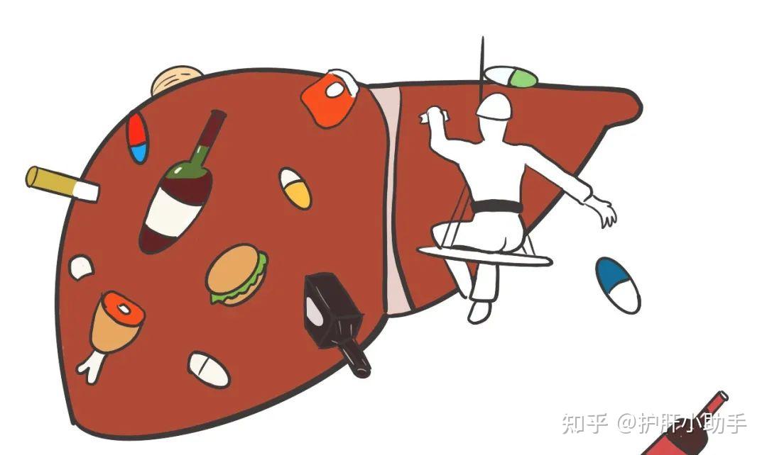 研究显示：“永久性化学物质”损害肝功能