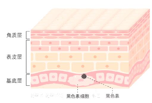 求真 皮肤有伤口 吃酱油就会发黑吗 知乎