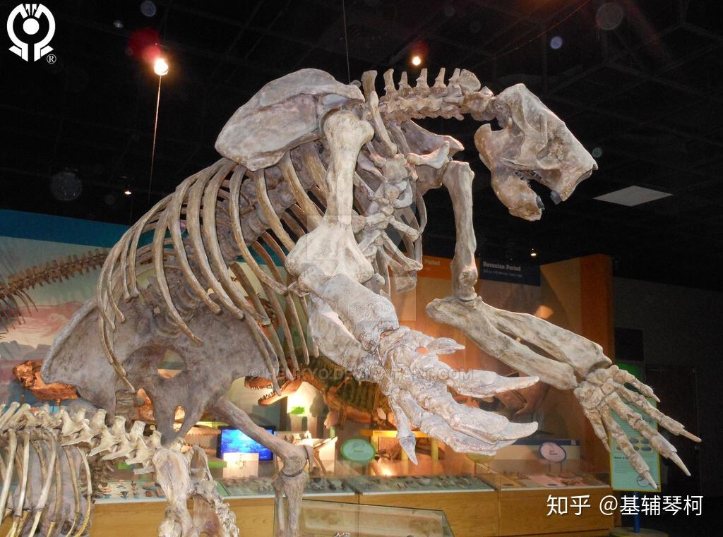 新生代巨兽猛兽与其他掠食者精简名录古兽争锋榜新近纪篇