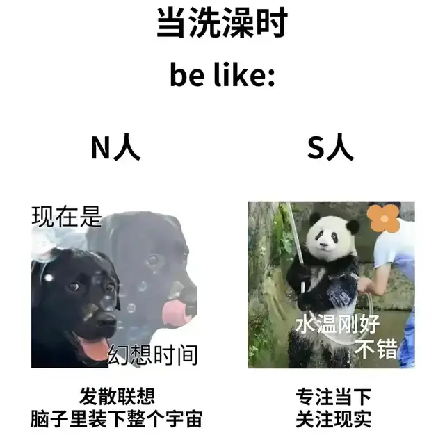 I人还是E人?不做题,5分钟知道自己的MBTI - 知乎