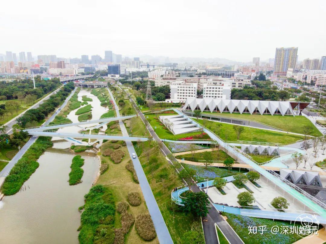 別擠深圳灣了超火河岸公園藏著一片金色燈光秀