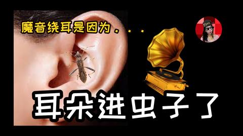 什么是耳虫?什么是认知瘙痒?揭秘洗脑神曲单曲循环的原因.