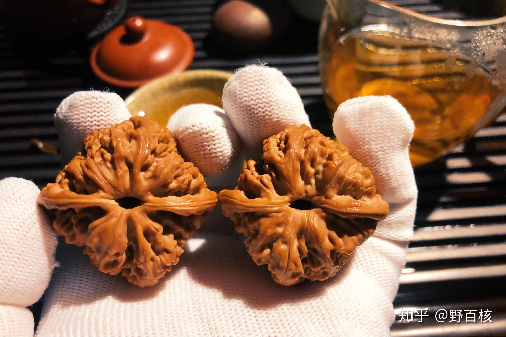 野生龙洞峪狮子头