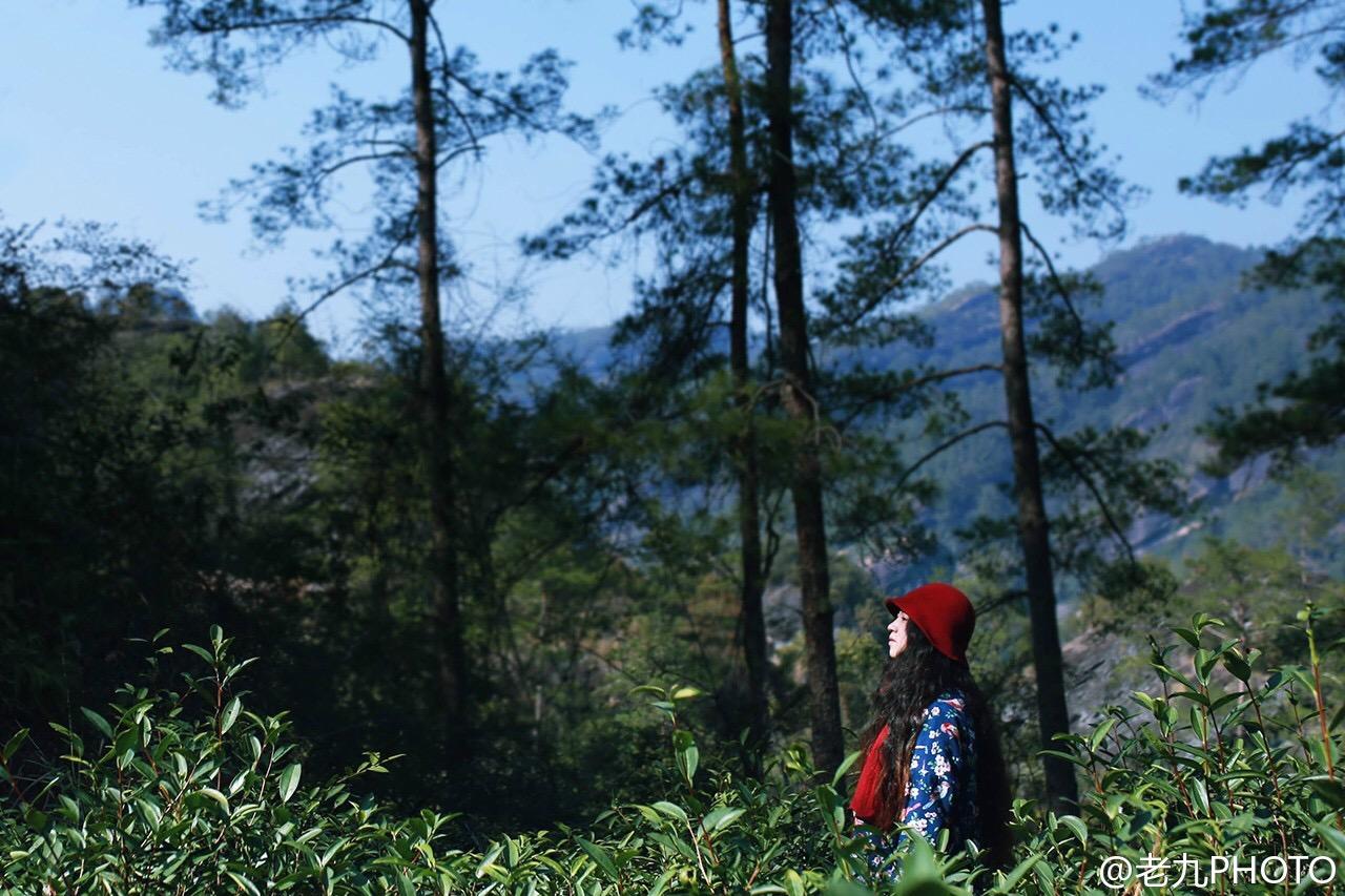 武夷山有什么好玩的?