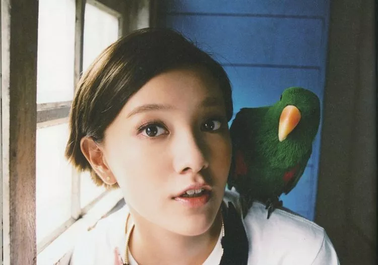 川岛小鸟胶片与生活