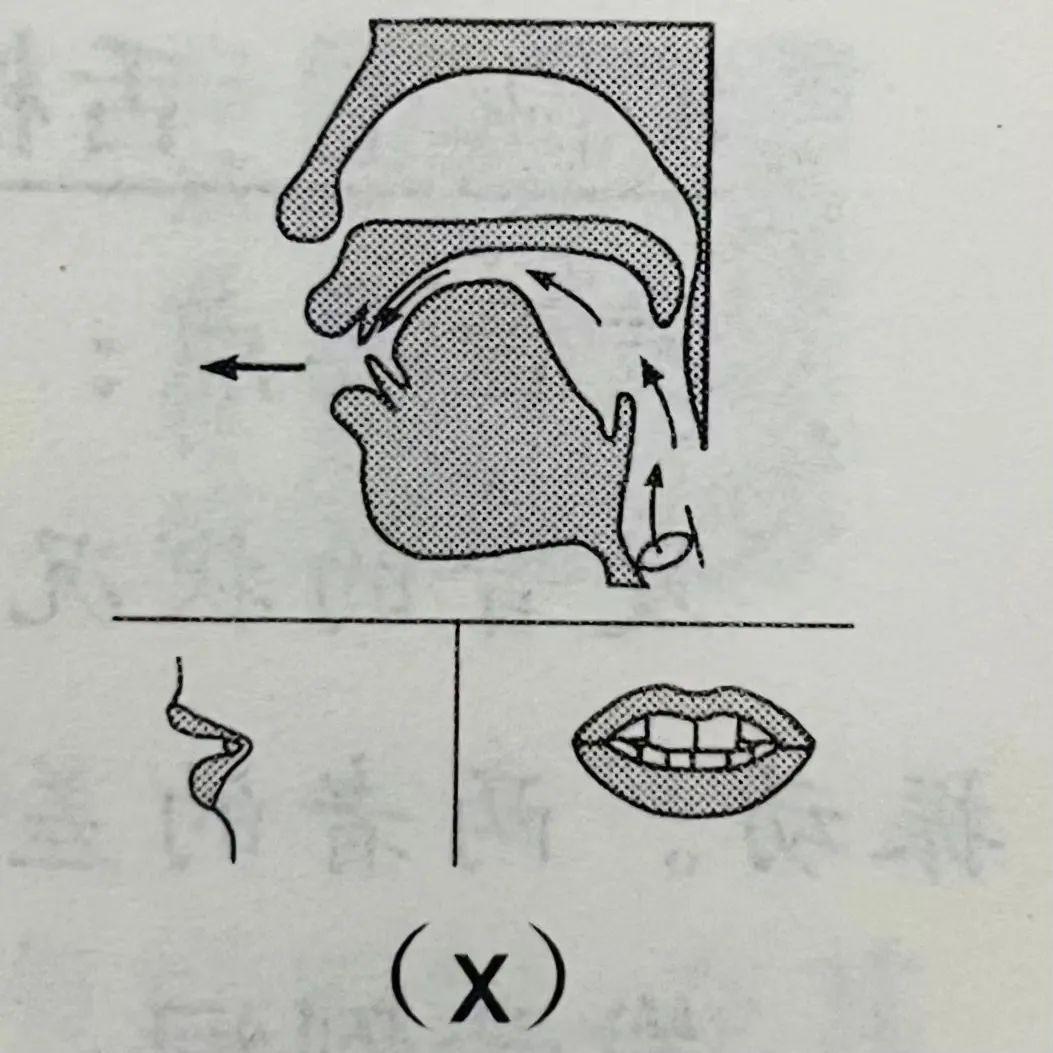 硬颚音图片