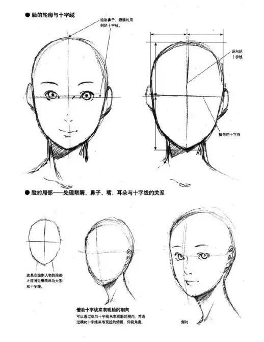 怎麼畫人臉及五官呢?