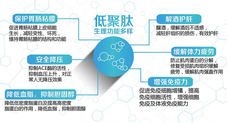 营养物质低聚肽新的健康产业