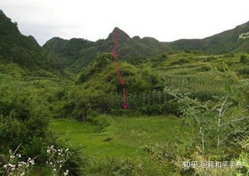 官,鬼,乐,禽,曜,仓