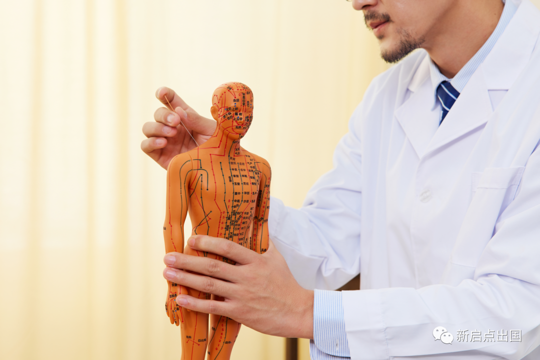 新西兰中医类工签项目闪亮登场!按摩师、针灸师工签登陆新西兰,真实雇主... - 知乎