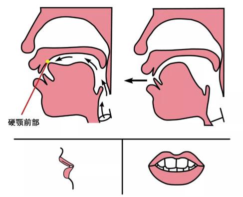 声母篇|做好这三点,纠正平翘舌不分 - 知乎