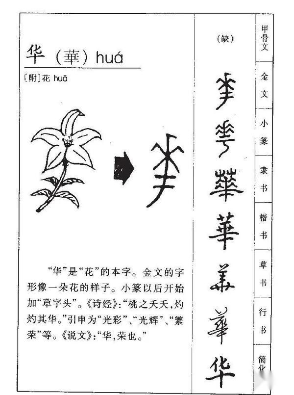 神话汉字之“华”字，兼说华夏文化与文明的起源 - 知乎
