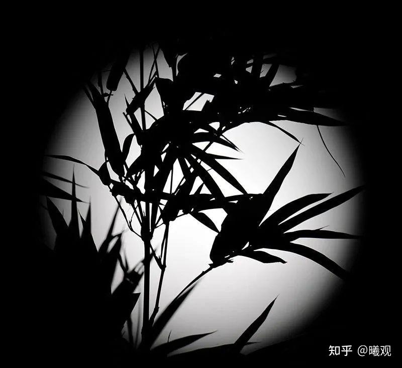 "一窗月上杉篁影,便是人间水墨图" - 知乎