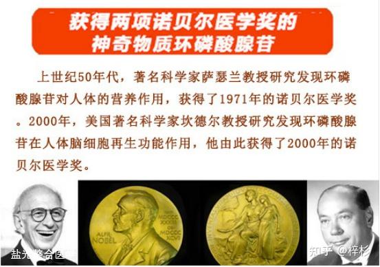 “第二信使”持股越多健康越富有 - 知乎