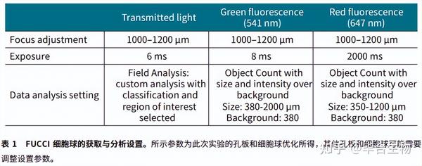 细胞周期的检测方法 知乎 