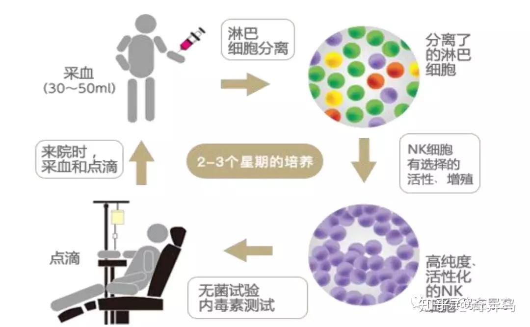 日本干细胞医院n2诊所nk免疫细胞疗法脂肪干细胞疗法丨日本整容整形