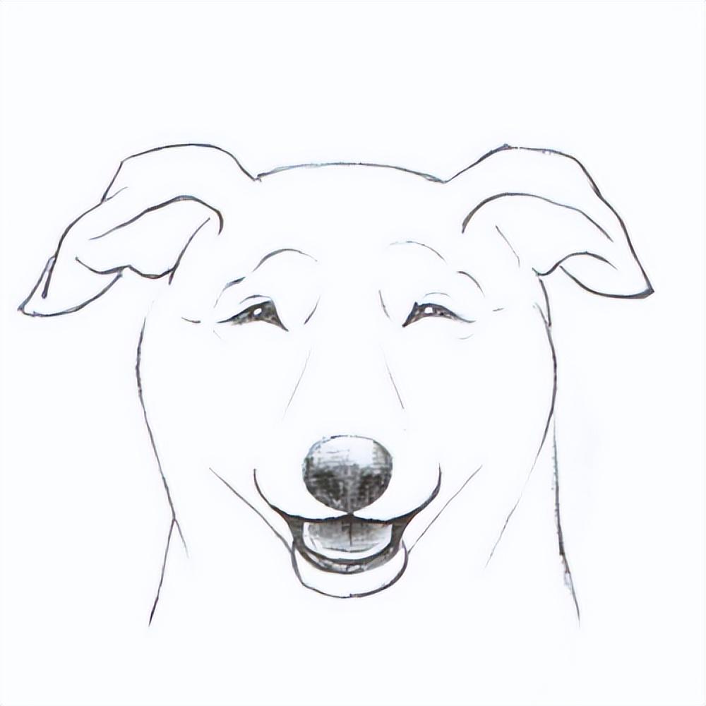 既然你可以画出不同类型的眼睛,让我们只用面部表情来表达狗的情绪