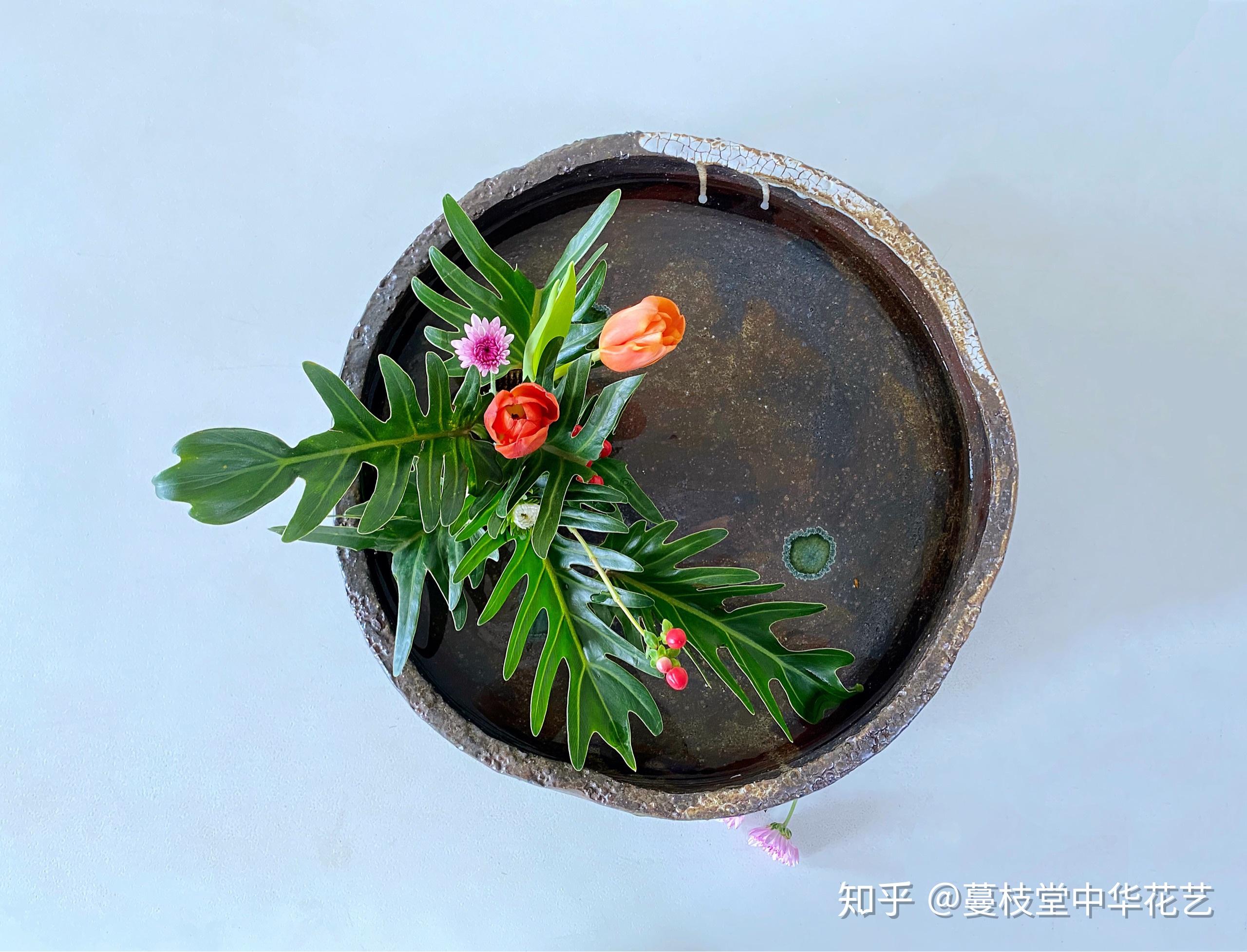 又见浮花作品 知乎