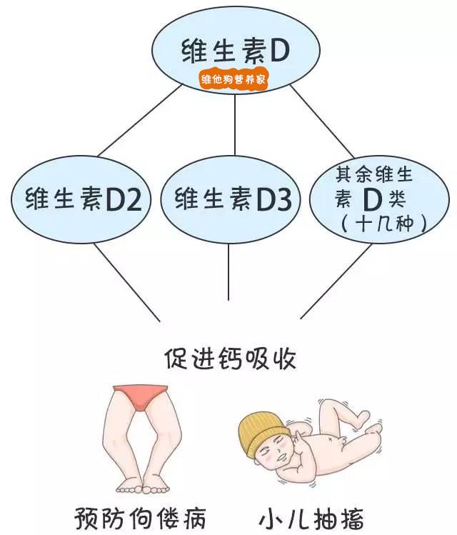 1張圖教媽媽分清魚油魚肝油維生素ad維生素d和維生素d3