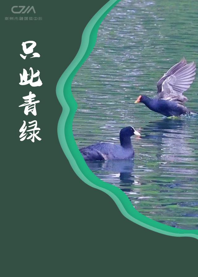 最美四月天只此青绿染崇州