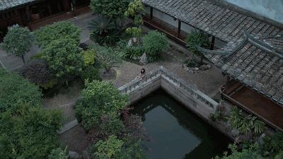 让姚晨连续疯狂打call的地方果然赞