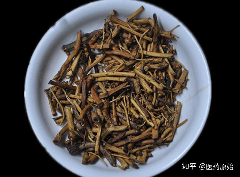带你识别白前 - 知乎