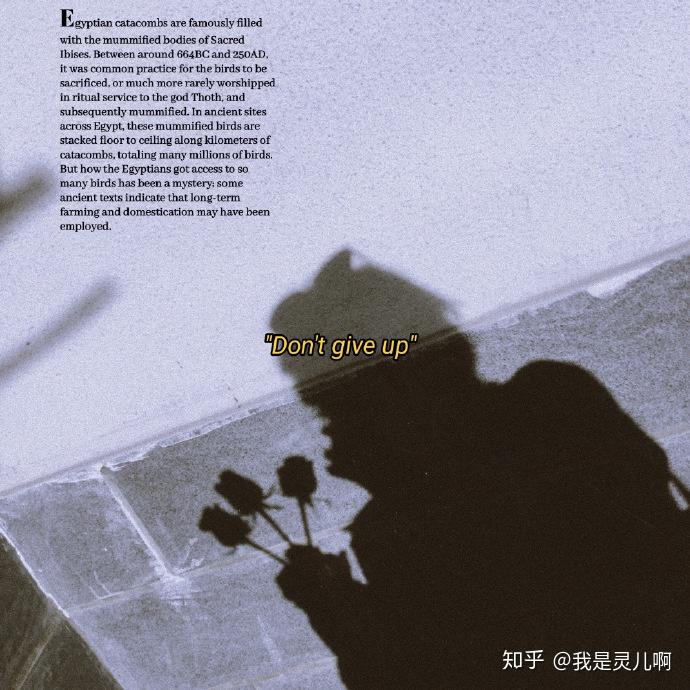 v2-866b28cf0a2325a443a107efa6ee5325_r.jpg