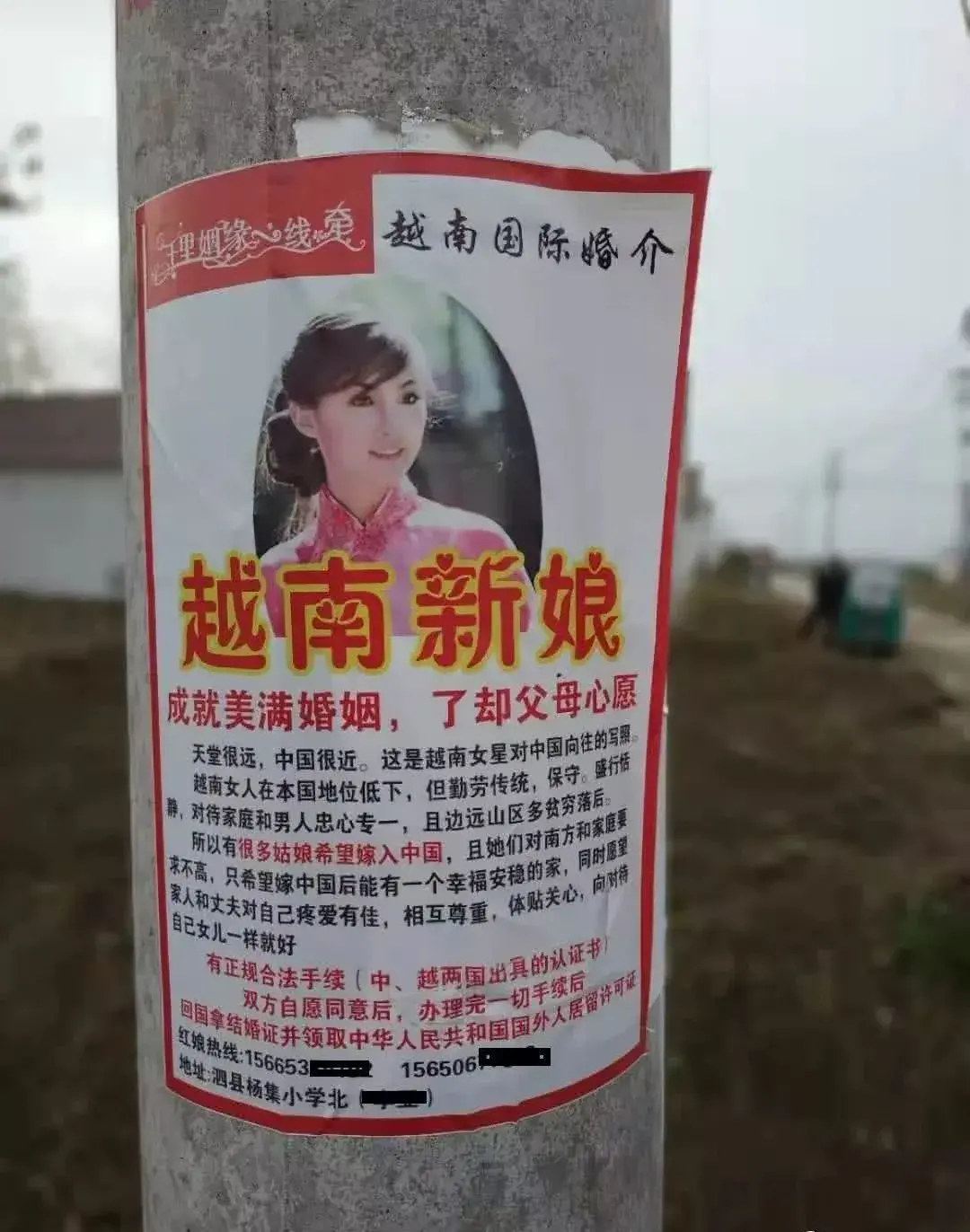 越南新娘中国光棍狩猎团