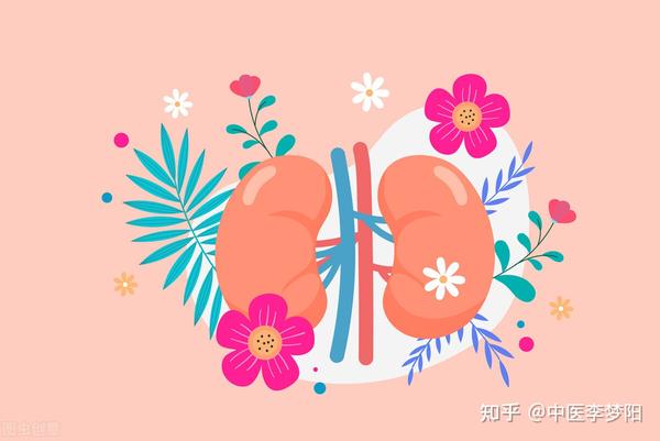 肾虚就吃六味地黄丸？小心越补越虚，中医教你如何参考正确补肾 - 知乎