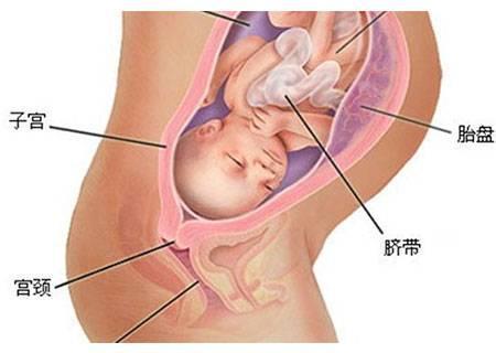 v2-868da554a686caa6be42c03a2862faf0_1440w.jpg?source=172ae18b