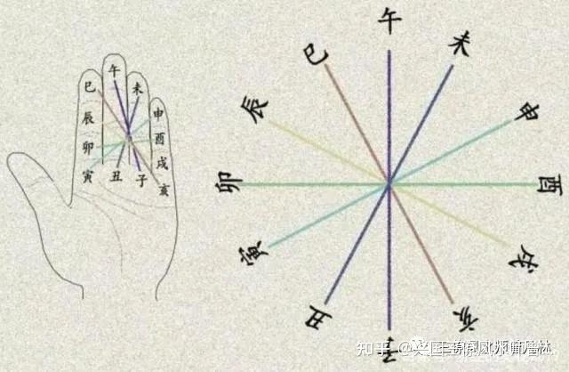 用手掌圖快速記下天干相合,地支合,衝,害67 - 知乎