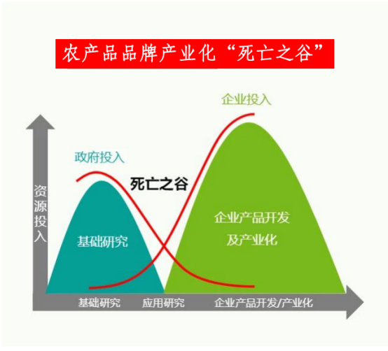 铁丁:如何保证农产品区域公用品牌建设的可持续性? - 知乎