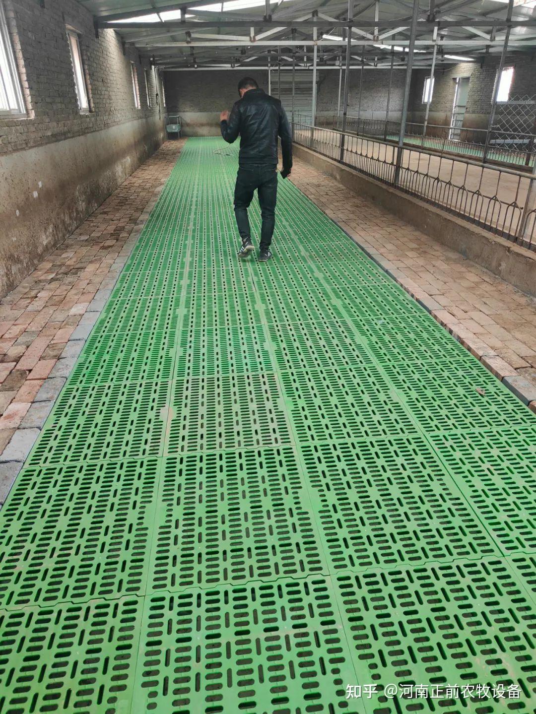 塑料羊床漏粪板的十大好处