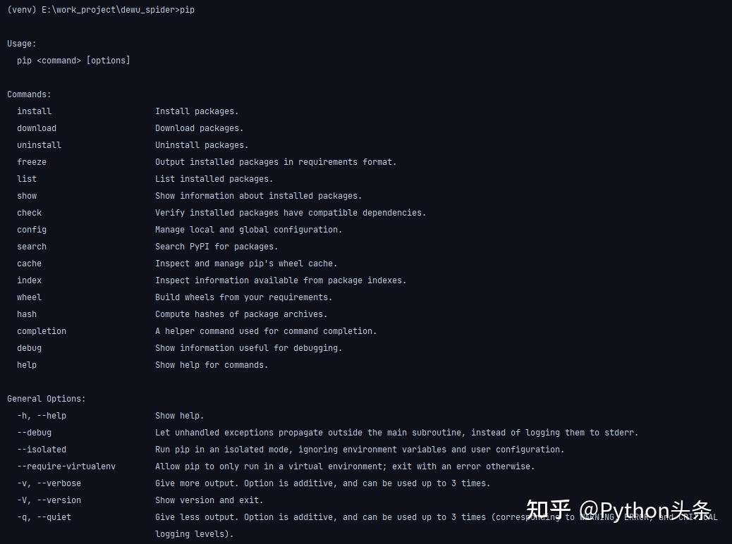  python pip 