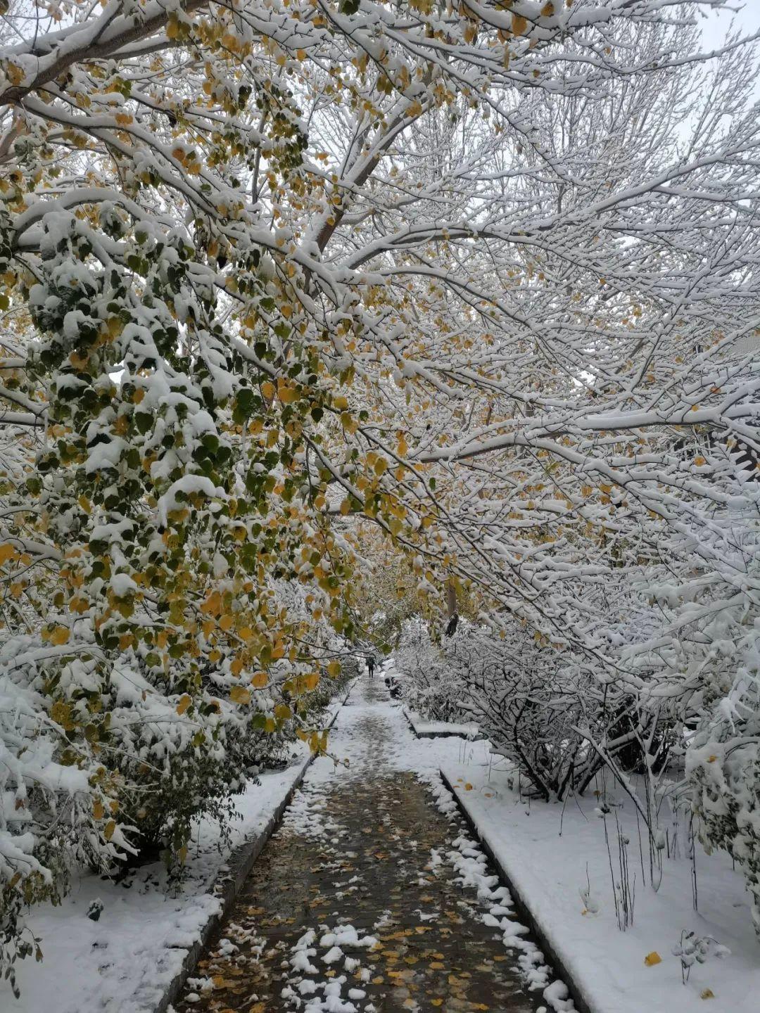 初冬时节遇见初雪图瞰风云