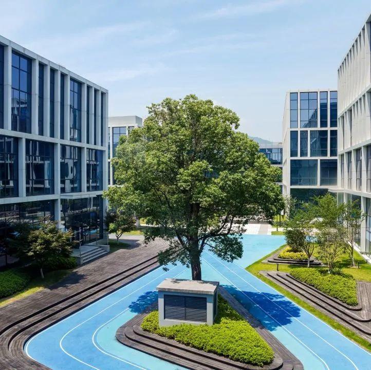 威雅学校:2025年秋季学期新生招生简章 - 知乎