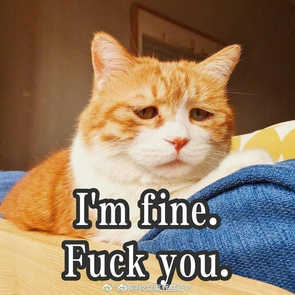 浙江17届新高考是否复读以及高水平三位一体