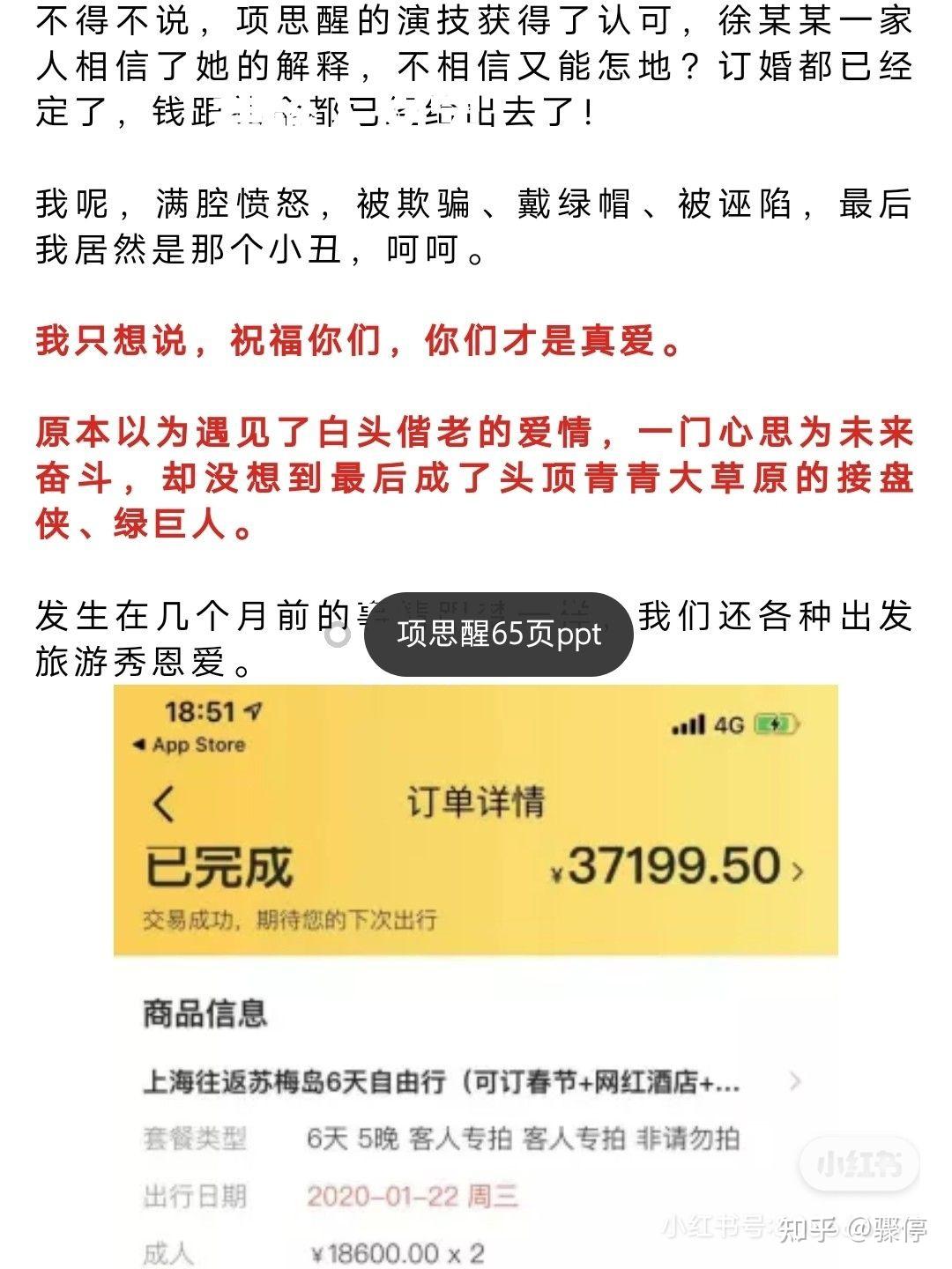 项思醒65页ppt截图图片