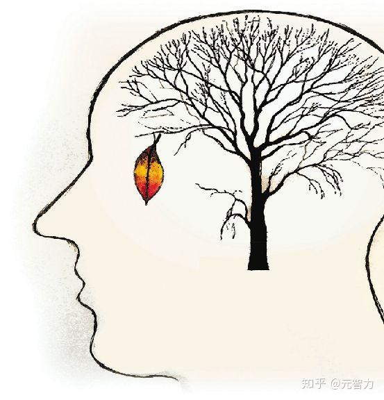 表象心理旋转以及记忆模型