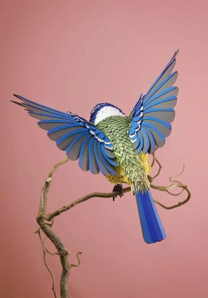 色彩系纸雕大师,用纸打造五彩斑斓的花鸟世界,好看又真实