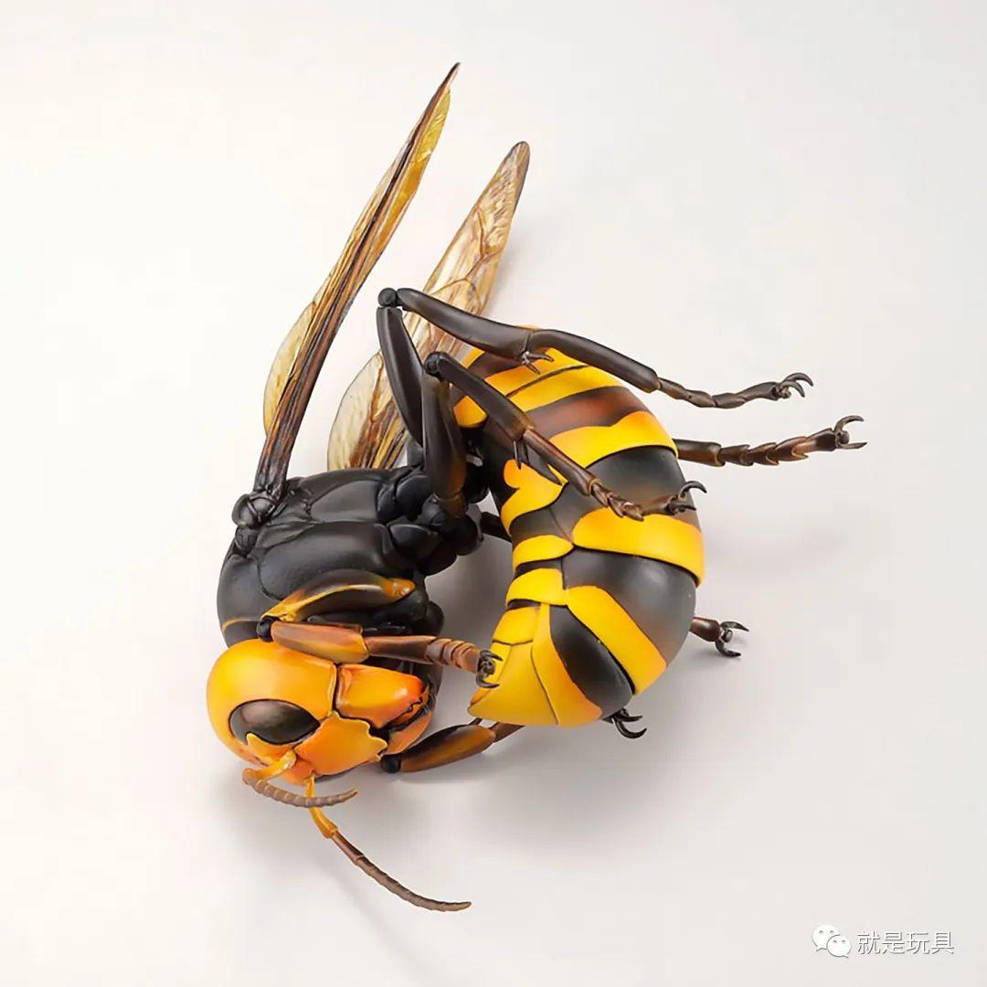 海洋堂"究极可动生物"!这才是大黄蜂的真.大哥