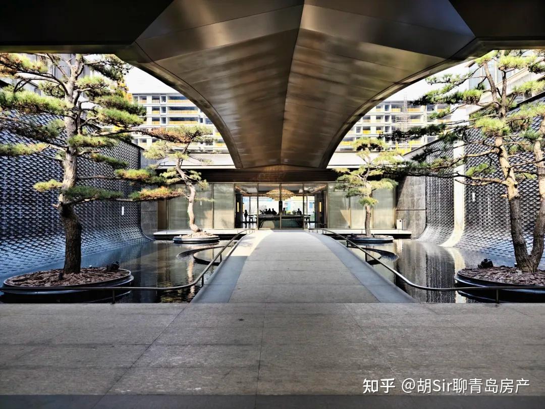 绿城，不行？青岛，还有机会吗？ - 知乎