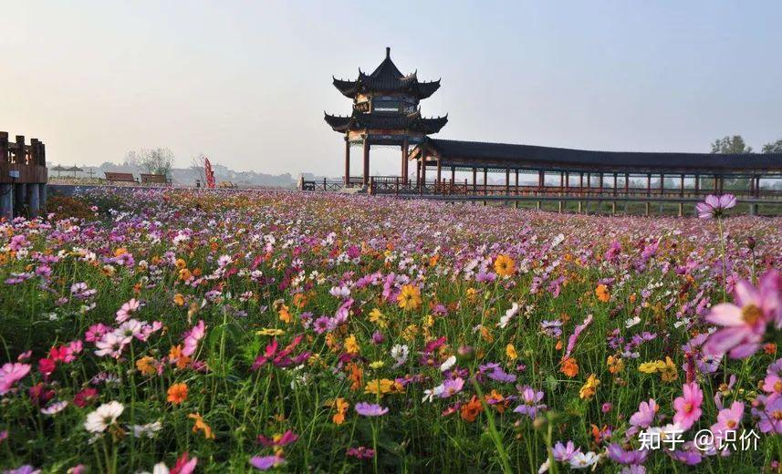 常德旅游攻略景点大全,常德旅游必去十大景点有哪些?看这里! - 知乎